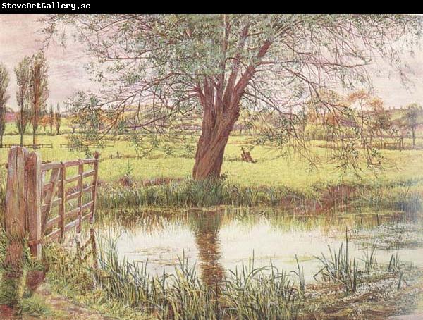 William Bell Scott Landscape with a Gate and Watermeadow (mk46)